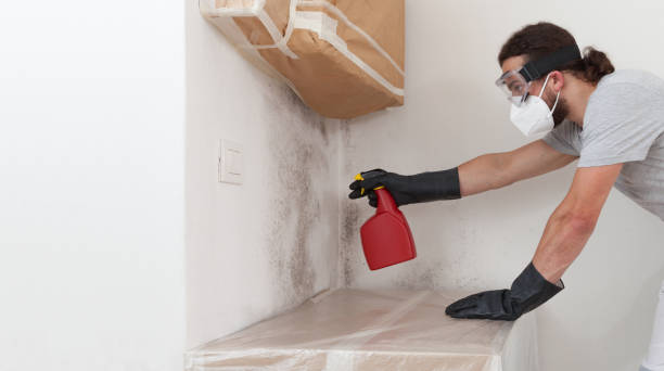 Professional Mold Removal technician working in Union City, MI
