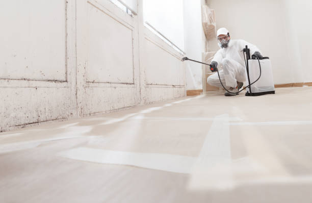 24/7 Emergency Mold Removal experts in Union City, MI